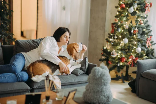 Egy nő fekszik egy kutya mellett, és megöleli egy karácsonyfa hátterében.. — Stock Fotó
