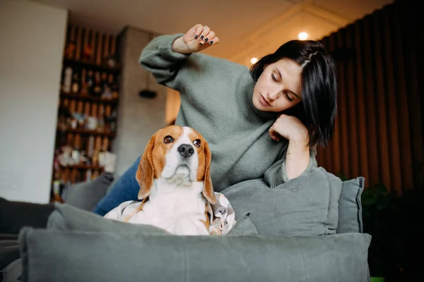 Uma mulher se deita ao lado de um cachorro e brinca com ele . — Fotografia de Stock