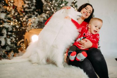Anne ve oğlu Noel ağacının arka planında beyaz samoed köpekle oynuyorlar.