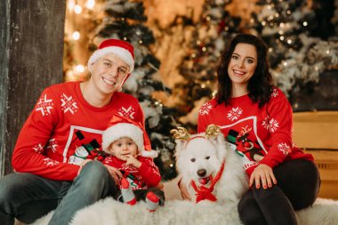 Küçük oğlu olan bir aile, bir Noel ağacının arka planında köpeğin yanında oturur.