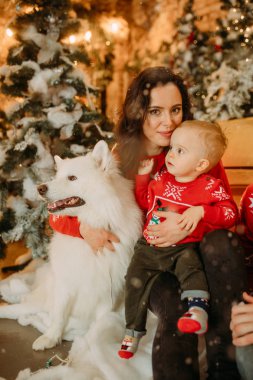 Anne ve oğlu bir Noel ağacının arka planında köpeğin yanında oturuyorlar.