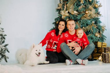 Aile, bir Noel ağacının arka planında köpeğin yanında poz verir.