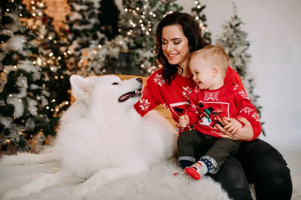 Moeder en haar zoon zitten naast de hond tegen de achtergrond van de kerstboom — Stockfoto