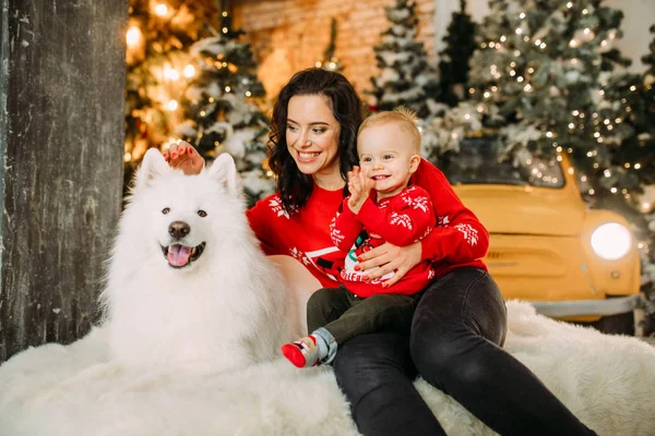 Anya és fia jól érzik magukat a kutya mellett a karácsonyfa hátterével szemben. — Stock Fotó