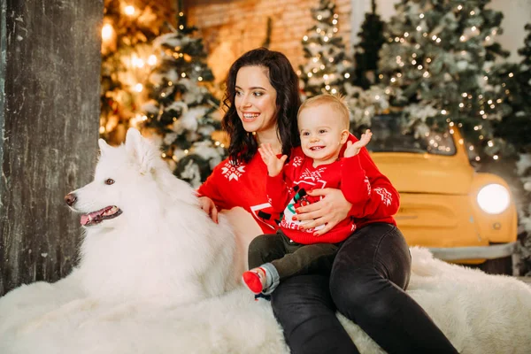 Moeder en haar zoon hebben een plezier naast hond tegen de achtergrond van kerstboom — Stockfoto