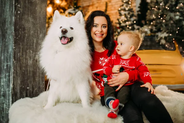 Moeder en haar zoon hebben een plezier naast hond tegen de achtergrond van kerstboom — Stockfoto