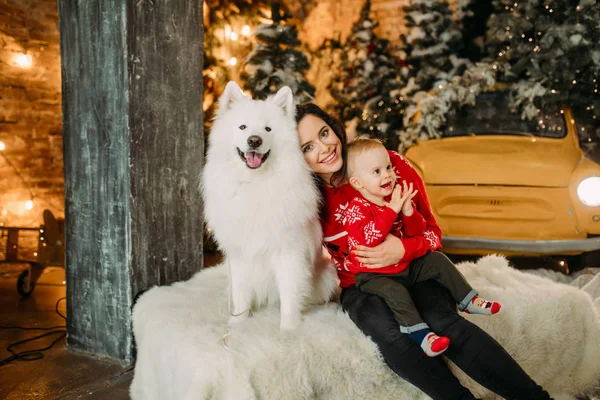 Moeder en haar zoon hebben plezier naast de hond tegen de achtergrond van een kerstboom — Stockfoto