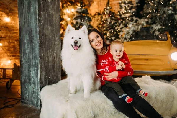 Moeder en haar zoon hebben plezier naast de hond tegen de achtergrond van een kerstboom — Stockfoto