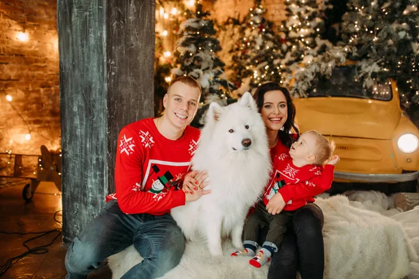 Család ül a kutya mellett, és szórakozik háttér egy karácsonyfa — Stock Fotó