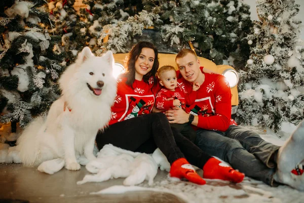 Perhe pieni poika istuu koiran vieressä taustaa vasten joulukuusi — kuvapankkivalokuva