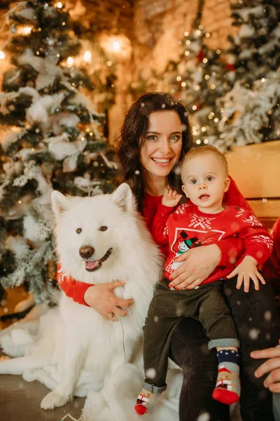 Anya és fia a kutya mellett ülnek egy karácsonyfa hátterében. — Stock Fotó
