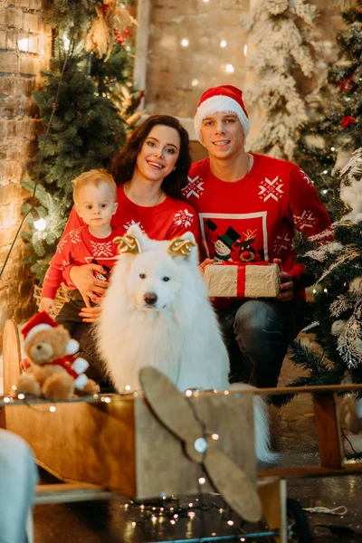 Familjen poserar bredvid hunden mot bakgrund av julgran. — Stockfoto