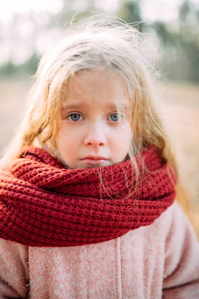 Retrato de una niña con expresión resentida y lágrimas . —  Fotos de Stock
