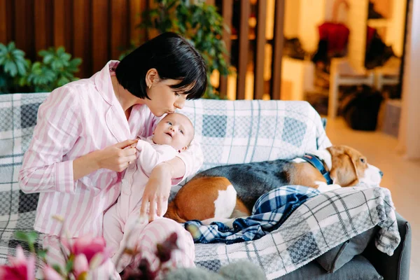 Una madre si siede su un divano, tiene un bambino e lo bacia . — Foto Stock