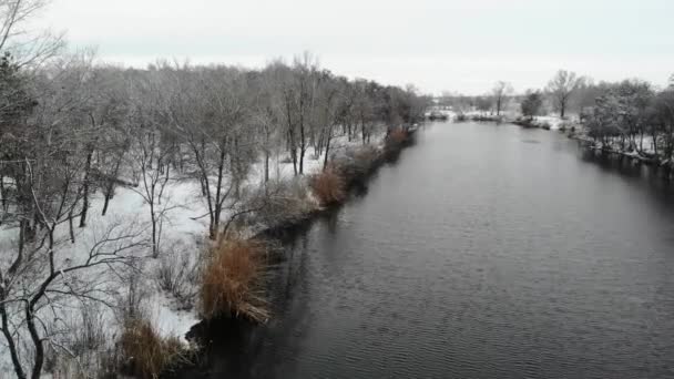 Beautiful View Drone River Shore Snowy Winter Forest — Stock Video