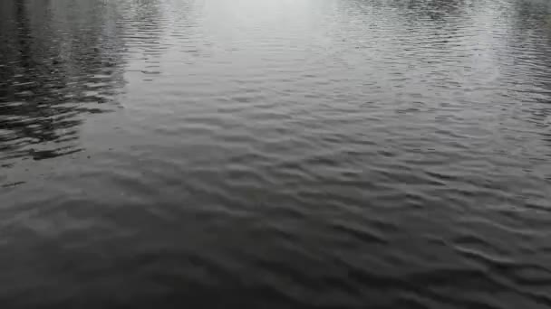 Вид Дрона Водную Поверхность Рябью Заснеженным Берегом Камышами Деревьями — стоковое видео