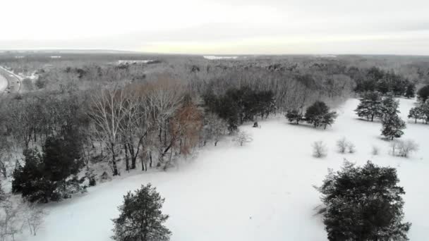 Krásný Výhled Dronu Zasněženém Zimním Lese Mýtina Obzoru — Stock video