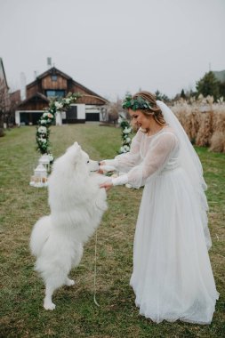 Gelin evin arka bahçesinde Samoyed köpeğiyle oynar ve dans eder..