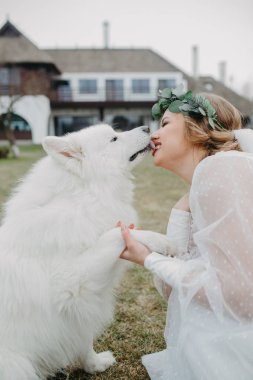 Gelin, evin arka bahçesinde Samoyed köpeğiyle eğleniyor ve oynuyor. Yakın çekim..