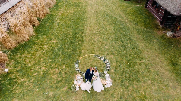 Vista Desde Dron Los Recién Casados Besándose Césped Junto Perro — Foto de Stock