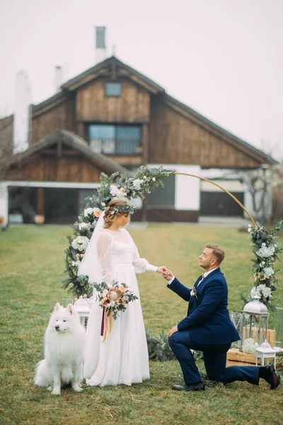 Groom Stands One Knee Front His Bride Next Samoyed Dog — Stock Photo, Image