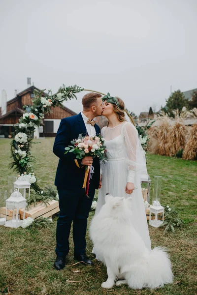 Newlyweds Stand Background Wedding Arch Kiss Next Samoyed Dog Background — Stock Photo, Image