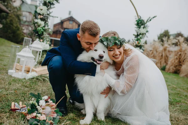Recién Casados Tienen Una Diversión Jugar Con Perro Samoyedo Fondo — Foto de Stock