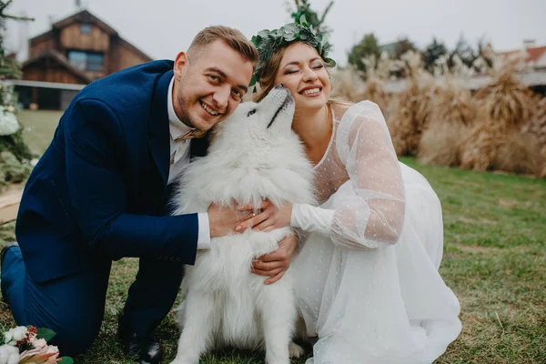 Recién Casados Tienen Una Diversión Jugar Con Perro Samoyedo Fondo — Foto de Stock