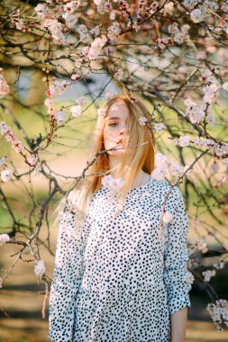Genç sarışın bir kadın bahar çiçekli kayısı ağaçlarının arasında duruyor..
