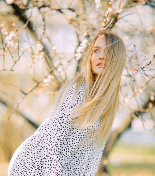 Genç sarışın bir kadın bahar çiçekli kayısı ağaçlarının arasında duruyor..