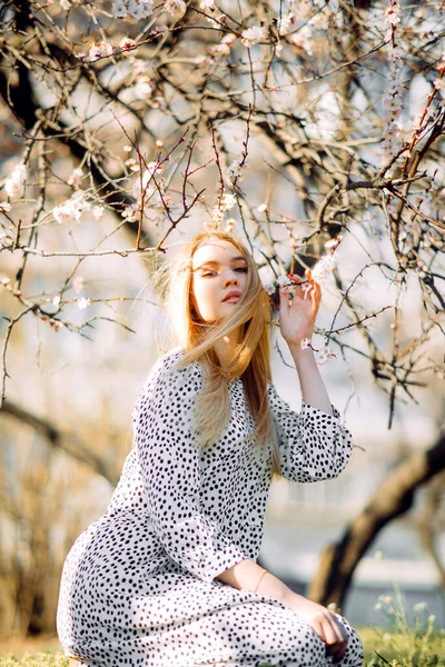 Young Blonde Woman Stands Spring Blossoming Apricot Trees — Stock Photo, Image