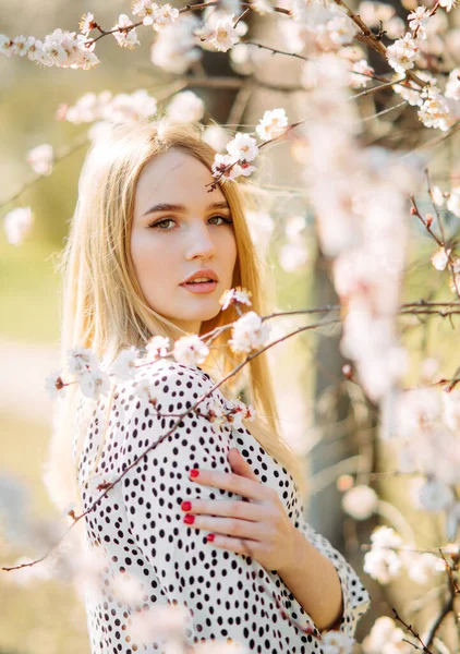 Retrato Jovem Mulher Loira Entre Ramos Florescentes Damascos Jardim Primavera — Fotografia de Stock