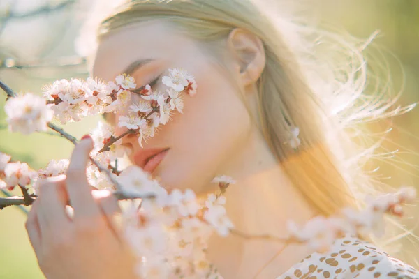 春の庭でのアプリコットの木の開花枝の間で若いブロンドの女性の肖像画 — ストック写真