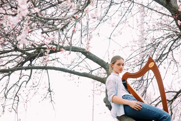 Arpista Donna Godere Rilassarsi Albero Albicocche Fiore Con Sua Arpa — Foto Stock