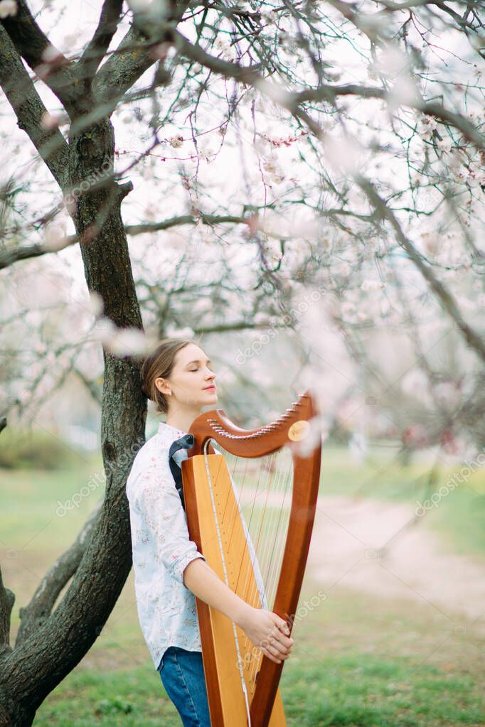 Woman harpist walks at flowering garden and plays harp among blooming apricot trees.