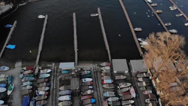 ギャルの群れがドニエプル川のボート駐車場を飛びます 真上のドローンからの眺め — ストック動画