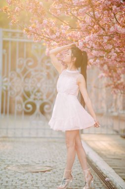 Beyaz elbiseli genç kadın, sakura ağaçlarıyla parkta dinleniyor ve eğleniyor..