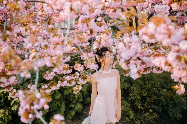 Fiatal Fehér Ruhában Élvezi Pihenni Parkban Virágzó Sakura Fák — Stock Fotó