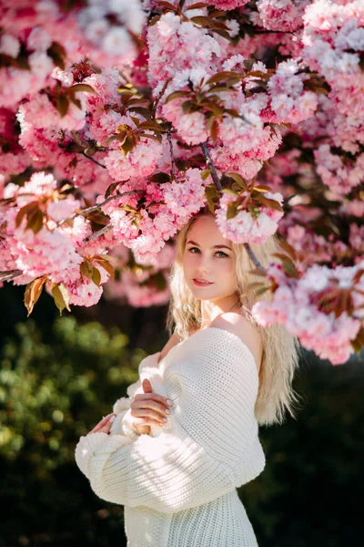 Genç Kadın Sakura Ağaçlarıyla Parkta Yürüyüp Eğleniyor — Stok fotoğraf