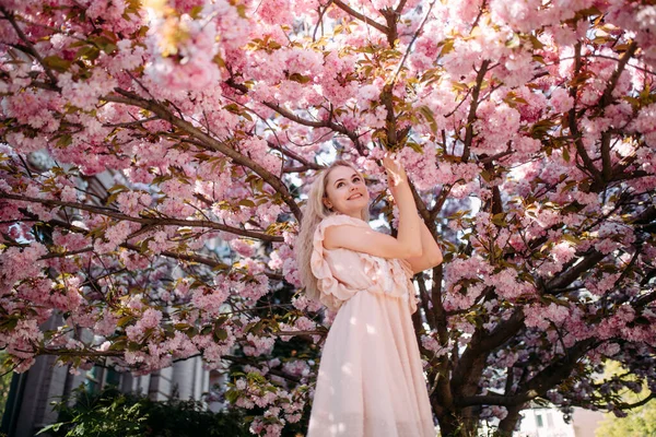 年轻女子在公园里散步 欣赏着盛开的樱花树 — 图库照片