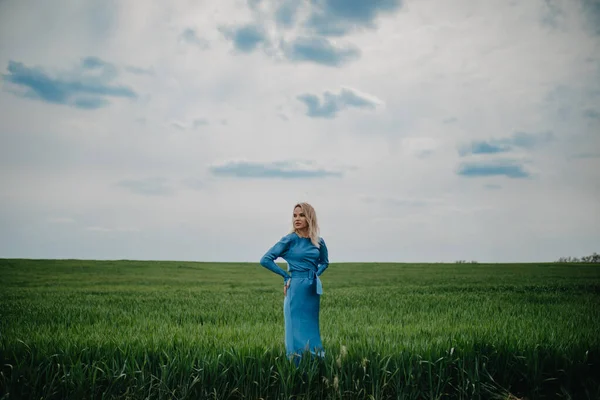 Молодая Женщина Синем Платье Ходит Среди Зеленого Поля Пшеницы — стоковое фото