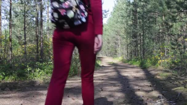 Девушка гуляет в парке, в лесу — стоковое видео