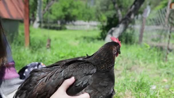 Kurczak w rękach. Utrzymuje głowę w równowadze. Stabilizator głowy kurczaka. — Wideo stockowe