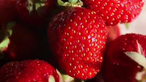 Erdbeeren auf weißem Hintergrund, Nahaufnahme. frische Erdbeeren in Nahaufnahme. — Stockvideo