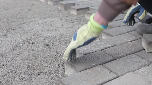 Ouvrier faisant une nouvelle chaussée de trottoir avec des briques de pierre. Réparation du sentier. Briquetage . — Video