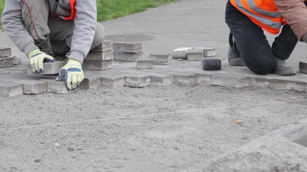 Arbeiter, die ein neues Gehwegpflaster mit Ziegelsteinen herstellen. Reparatur des Fußweges. Maurerarbeiten. — Stockvideo