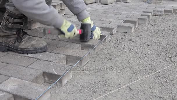 Trabalhador fazendo novo pavimento calçada com tijolos de pedra. Reparação do caminho. Colocação de tijolos . — Vídeo de Stock