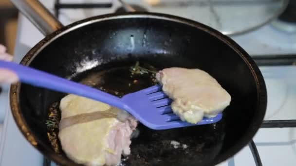 Fläskkött är stekt i en stekpanna. — Stockvideo