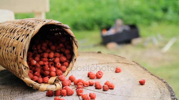Малина в корзине на фоне горящего барбекю летом. Барбекю, приготовление пищи на гриле . — стоковое видео