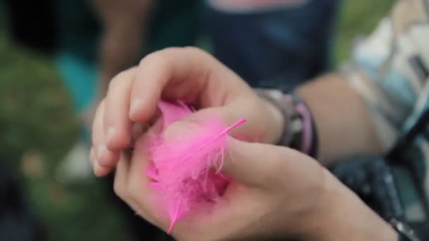 Фотограф держит в руке цветные розовые перья. Свадебные моменты — стоковое видео